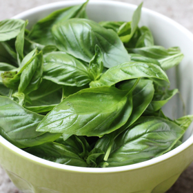 5. Zamíchejte do sekané bazalku. Už samotná vůně bazalky nenechá hormony v klidu. A co teprve její skryté bohatství? Máme na mysli flavonoidy – látky s protizánětlivým účinkem, co dohlédnou na to, aby libido nepokleslo a erekce fungovala správně. Už hrnek nasekané bazalky zamává s vaším chtíčem. Jen to zkuste.