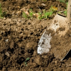 1. Do země. Váš soused vás může vidět při kopání a peníze vám může zničit déšť. Nebo je vyhrabe a sežere pes.