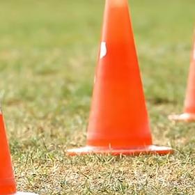 Kužely ve své typické červenooranžové barvě...