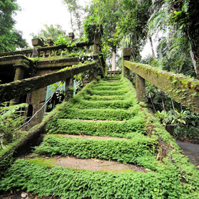 Návštěvníci zde mohli obdivovat 7 000 exotických stromů, zahrát si tenis či zaplavat v bazénu. Nechybělo ani dětské hřiště či čajové zahrady.