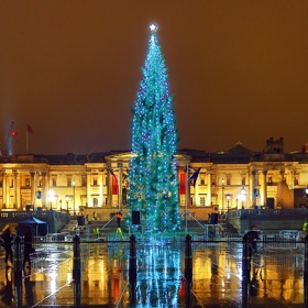Na Trafalgarském náměstí v Londýně se po dešti kolemjdoucím zjevil „nekonečný“ strom.