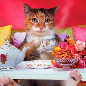 Zavděčit se puritánům při stolování ve vysoké společnosti nemusí být vůbec jednoduché. Mnohdy stačí vzít špatně do ruky šálek a oheň je na střeše.