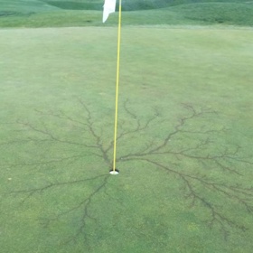 2. Následky drtivého dopadu golfového míčku.