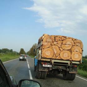 Tak tomu se říká perfektně poskládané palivové dříví.