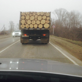 A ještě jedna várka. Že by to byl ten stejný řidič?