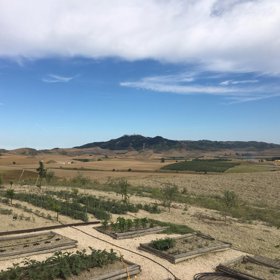 Například v Německu se Carolyn a Bryan věnovali zahradničení...