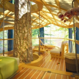 4. Příroda okrášlí každý interiér. Bez výjimky.