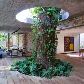 5. Byl tu dřív strom, nebo dům?