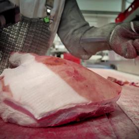 Následně projde sanitací a žárem a je staženo z kůže.