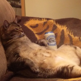 16. Kočka často relaxuje na pohovce s plechovkou piva.