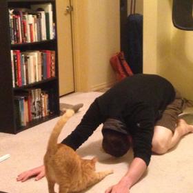 17. Kočka se vrhla na cvičení jógy.