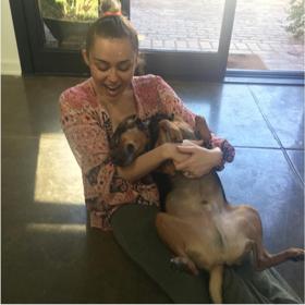 1. Miley Cyrus adoptovala už několik zvířat. Tohoto psa našla se svým přítelem Liamem Hemsworthem  v roce 2012 ve Walmartu.