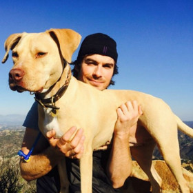 25. Ian Somerhalder a jeho partnerka Nikki Reed jsou velcí milovníci zvířat. Proto adoptovali fenku Neech – ale nevěděli, že čeká štěňata. Překvapení!