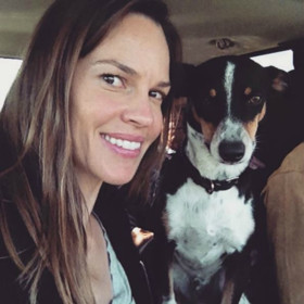 26. Hilary Swank má dva psy a navíc tráví spoustu času dobrovolničením v útulcích.