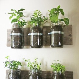 7. Vytvořte si domácí zahrádku. Naplňte zavařovačky hlínou a něco do nich zasaďte. Vnesete do svého domova zeleň a pokud zvolíte kupříkladu bylinky, ještě z ní budete mít užitek.