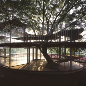 1. Mateřská škola vybudovaná kolem stromu.