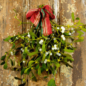 2. Pověste jmelí na všechny dveře.