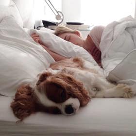 1. Přítomnost psa v posteli vás může uklidňovat. Tito chlupáči dokážou být nápomocni v boji proti depresím a úzkosti.