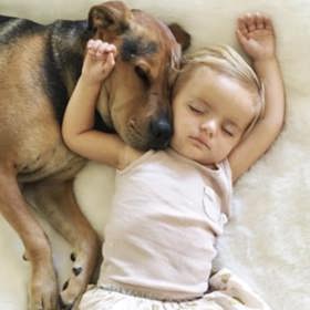 5. A příjemně hřeje! Pes v posteli je nade všechny přímotopy.