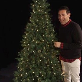 Díky tomuto postupu se všechny žárovky budou nacházet na špičkách větví, takže celkový efekt bude perfektní!