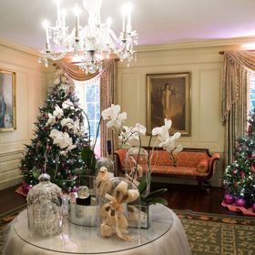 Aby se necítil opuštěně, Obamovi mu pořídili pár menších kamarádů.