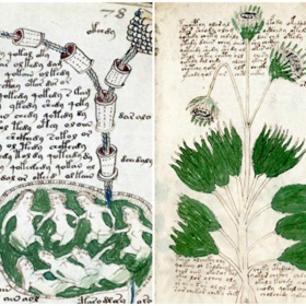 3. Voynichův rukopis. Pravděpodobně nejzáhadnější kniha světa. Jde o jakousi encyklopedii napsanou neznámým písmem v neznámém jazyce. Je plná neidentifikovatelných symbolů a kreseb. Její obsah doposud nikdo nerozluštil.