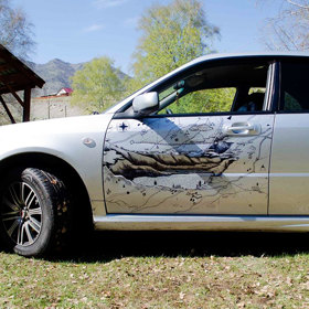 Majitel tohoto vozu se rozhodl pro druhou zmíněnou variantu...