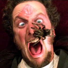 5. Tarantule, která přeběhla Marvovi přes obličej, byla opravdová. Legendární jekot ze sebe ale herec Daniel Stern vypravil až po natočení scény – bál se, aby ho jedovatý pavouk nekousl.