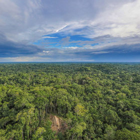 Zdejší domorodci se přibližně každé čtyři roky stěhují do nových lokalit.