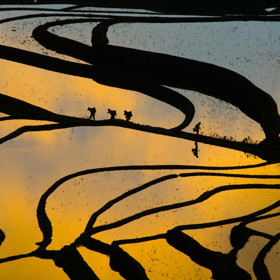 3. Jüan-jang (Jün-nan, Čína).