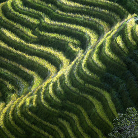 5. Lung-šeng (Kuang-si, Čína).