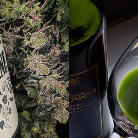 Podle společnosti Pantone je barvou letošního roku zelená. Vinaři to vidí stejně...