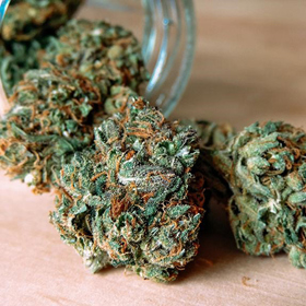 Atrakcí však není jen díky své barvě. Toto víno je vyrobeno ze směsi farmářských hroznů a organicky pěstovaného konopí, respektive marihuany.