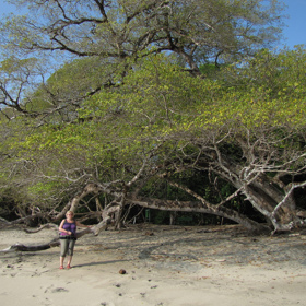 Je tak toxická, že pod ní můžete stát, jen když právě neprší.