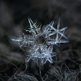 28 neuvěřitelných snímků sněhových vloček