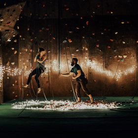 Když Maddy vyšplhala na jeden z nich, dal Luis signál svým kamarádům čekajícím dole, aby zhasli a nainstalovali světelné řetězy a rozprostřeli okvětní lístky.