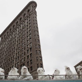 5. Propagace televizního pořadu Expedition Unknown: Hunt for the Yeti (Manhattan, New York).