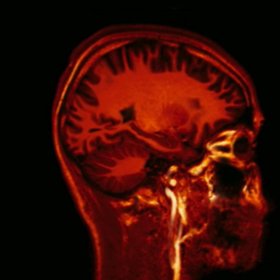 Dost možná tak budeme komunikovat s našimi blízkými.