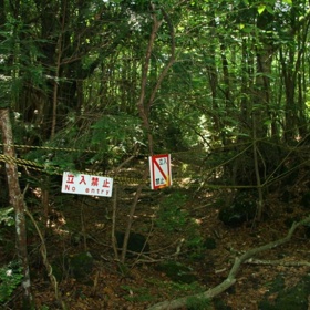 5. Aokigahara alias „les sebevrahů“ (Japonsko). Pokud si někdo v Japonsku chce vzít život, s největší pravděpodobností zamíří sem. Podle japonské mytologie zde přebývá řada duchů a démonů.