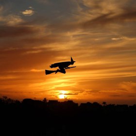 15. Dálkově ovládané letadlo v podobě čarodějnice. Vyfoceno v průběhu Halloweenu v Encinitas (Kalifornie, Spojené státy americké).