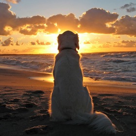 2. Vyšplhejte na kopec a sledujte spolu západ slunce. No řekněte, kdy jste to naposledy dělali?