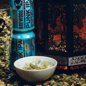 Když jsme psali, že pivo tu poteče proudem, mysleli jsme to vážně. Pokoje budou vybaveny kohoutky, z nichž si načepujete domácí mok Punk IPA.