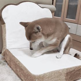 5. Alergie se zlepší. Na přikryté polštáře a peřiny nesedá prach, takže nebudete tolik kýchat. Nemluvě o chlupech domácích mazlíčků.