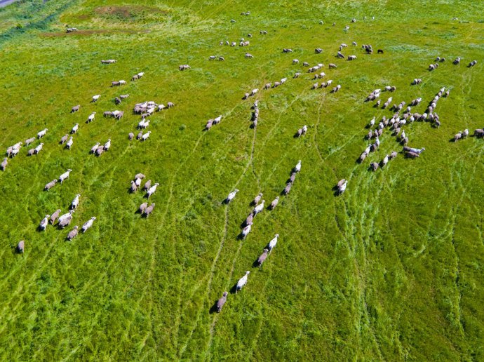 A pro fotografii je natolik zapálený, že do svých dvaceti stihl vydat knihu. Konkrétně průvodce dronovou fotografií s názvem The Handbook of Drone Photography.