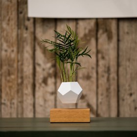 Sada LYFE obsahuje tři části – dubovou destičku, adaptér a silikonový květináč. A podle výrobců není těžké ji uvést do chodu.