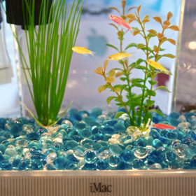 Ultimátní spořiče obrazovky. Američan mění staré počítače v akvária