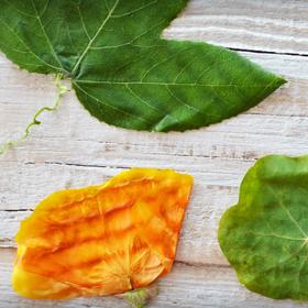 Základem jsou vylisované okvětní lístky...