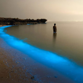 1. Bioluminescence na Laraku (Írán) – Pooyan Shadpoor. „Ta magická světla planktonu mě okouzlila natolik, že jsem stisknul spoušť,“ řekl Shadpoor.