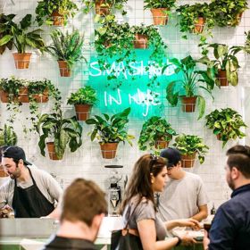 Avocaderia (www.avocaderia.com) je první avokádový bar v americkém New Yorku. Sjíždějí se do něj lidé z celého světa. Důvodem jsou ty nejlepší pochoutky z čerstvého avokáda, ostatní podívejte se dál.