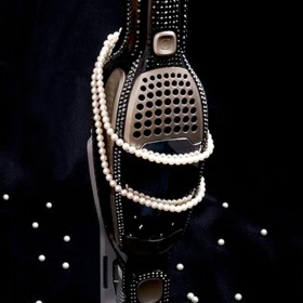 5. Vysavač s kamínky od Swarovského. Je tak drahý, že se s tím dostal až do Guinessovy knihy rekordů. S 3 730 krystaly se cena vyšplhala na 500 000 Kč. Luxusní, ale... opravdu byste s ním vysávali?